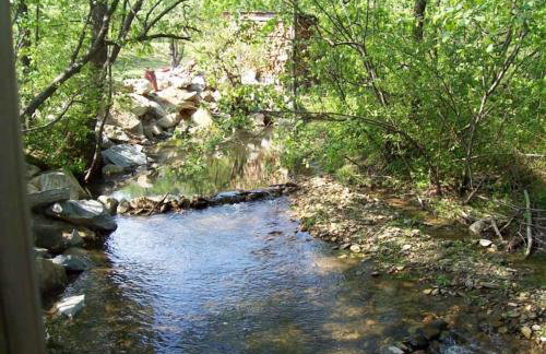 Treetops Cabin-Peaceful 1BR 20-Acre Rural Retreat-HotTub-WiFi-Near Asheville - Foto 8