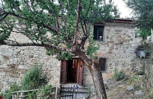 MEA CASA Toscana - Foto 68