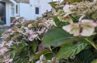 Humphries Cross Apartments - Foto 33