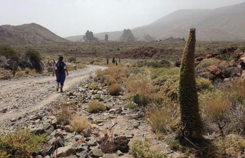 Residenz TraumBlick - Foto 25