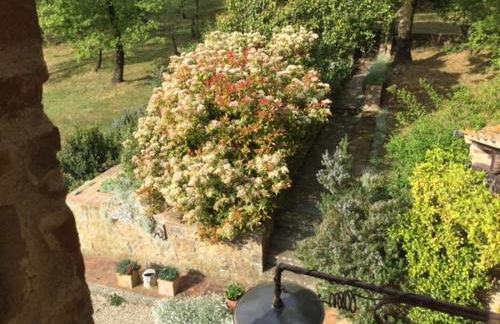 La Berchiera - Foto 19