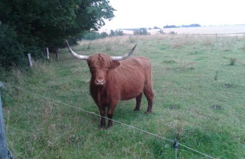 Schönberg - Schuster Raths Kate - Foto 24