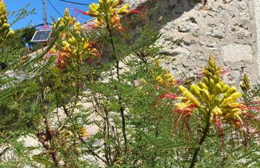 Villa rustica bougainvillea - Foto 5