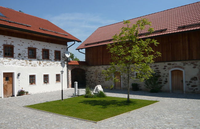 Lehner im Wald - Foto 24