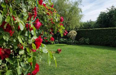 Nina Kopalino - Foto 13