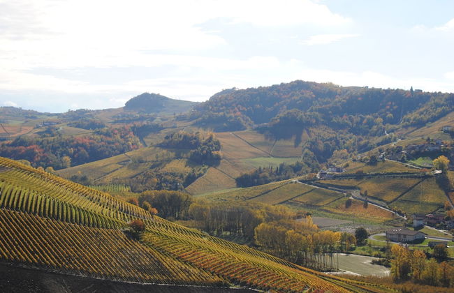 Agriturismo i Grappoli - Photo 53