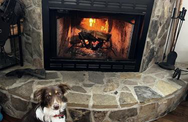 Bear's Mountaintop Home with Gorgeous Lake Views chalet - Foto 52