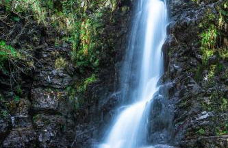 Kelpies Cottage - Foto 20