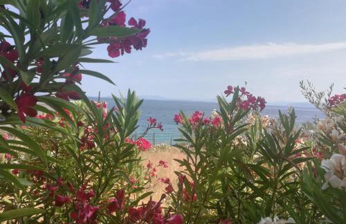 kineta Sunny Beach - Foto 19