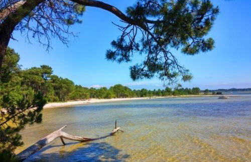 Villa avec Piscine Lac de Sanguinet - Foto 4