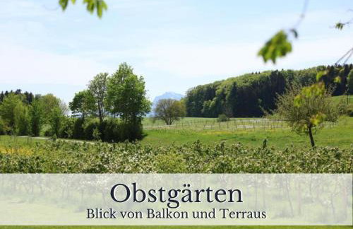 SEEBERGER GÜTL - by "Schloss Gessenberg" Exclusive apartments with a historic ambience for lovers of art and antiques - Foto 30