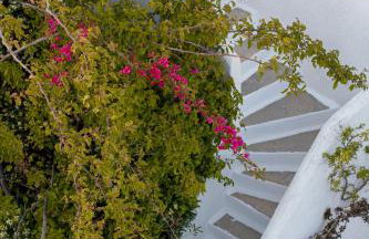 Andromeda Residence - Foto 15