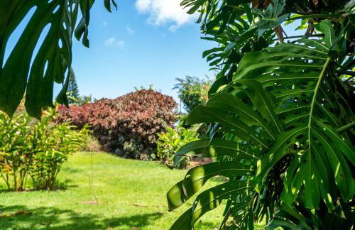 2 Mi to Hana Hwy Haiku Home with Ocean Views! - Foto 37