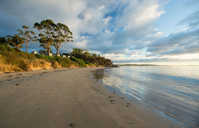 Swansea Beach Chalets - Foto 49