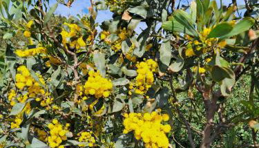 Max house a un passo dal mare - Foto 3