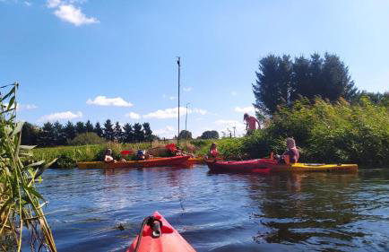 agroturystyka domek na trawie - Foto 6
