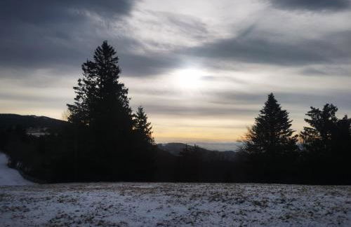 Gîte Haut Les Cœurs - Chalet dans les Hautes-Vosges - Foto 8