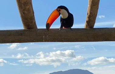 Casa de praia com vista para o mar - Foto 27