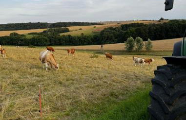 Ferienhaus Alte Försterei im Harz - Urlaub auf dem Bauernhof - Foto 15