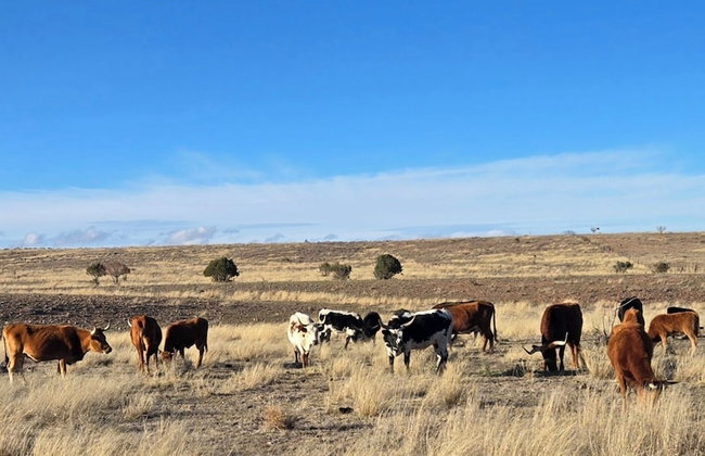 Double R Guest Ranch - Foto 19