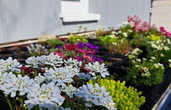 Ferienhaus Adelon - Foto 31