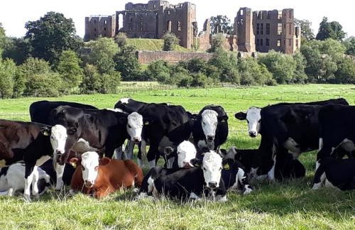 North Mere Rural Cottages - Foto 16