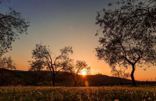 Agriturismo Il Segreto di Pietrafitta - Photo 78