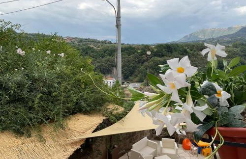 B&B Sunset Suite Belvedere - Foto 15