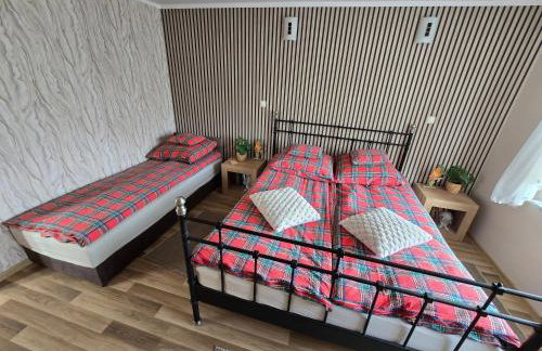 Dom wypoczynkowy Radomno - Foto 6