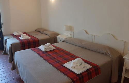 Agriturismo Il Frantoio Di Colle Alberto - Foto 7