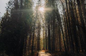 20 min to Yellowstone, Family Cabin, Fire Pit - Photo 31