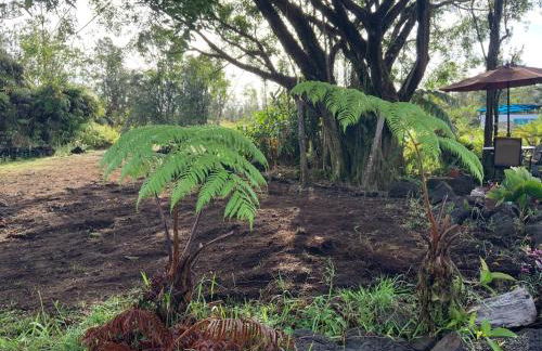 Majestic Banya tree cabin - Foto 15