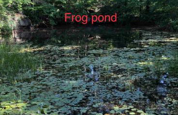 The Cozy Cottage - Foto 27