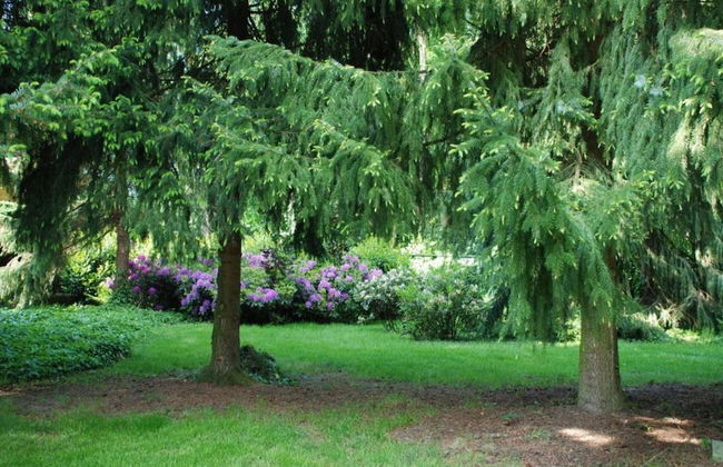 Lodge by the Lake in Arcen With Water Terrace - Photo 39