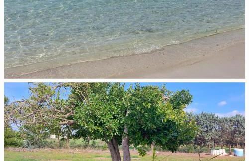 Villetta della Pace nel cuore del Salento - Foto 20