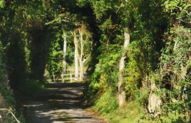 Grosmont Cottage, Ruswarp - Photo 34