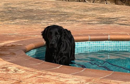 Casa Feliz Con Perros - Foto 17