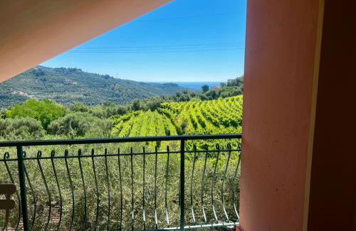 Agriturismo Ada Musso ss - Foto 3