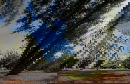 TIERRA MORA HOTEL BOUTIQUE - Photo 27