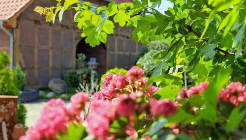 Mutti 's Landhof - Foto 4