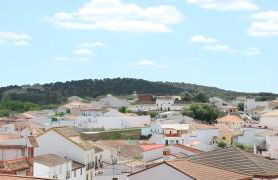 El Rinconcito - Foto 16