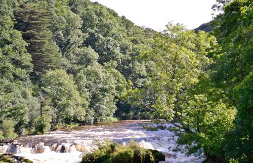 Bwthyn Celyn-Oa6 - Foto 6