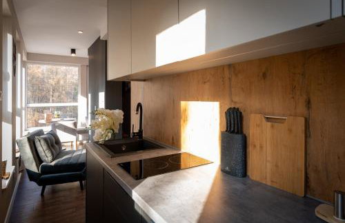 Apartament Kurort Kozubnik Wilcza Wataha - Foto 25