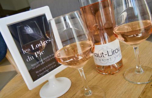 Les Lodges du Pic - Foto 15