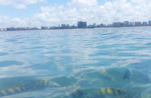 NA BEIRA MAR DE PAJUCARA- EDIF NEO- APARTAMENTO QUARTO E SALA- TEM VARANDA - VISTA LATERAL DO MAR- RUA JULIO PLECH FILHO 60 ESQUINA COM AVENIDA DOUTOR ANTONIO GOUVEIA - CONSUMO ELETRICO É PAGO No CKECK-OUT 1KWH É 1,35 REIAS - Foto 33