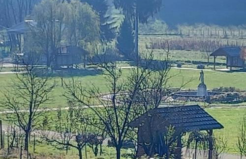 Shalom Krašić - Foto 10