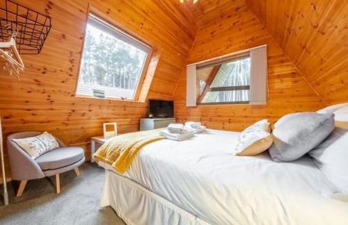 Woodpecker - Photo 34