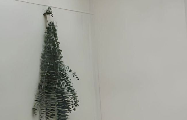 Casa Los Curazaos - Photo 55