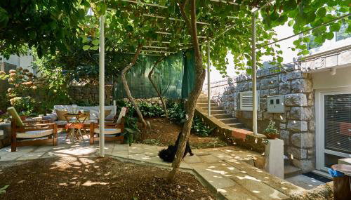 Aspidistra Shadow - Foto 3, Garden