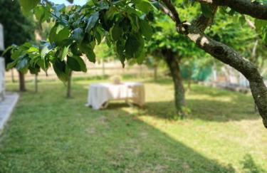 Carpegna Green House - Foto 17